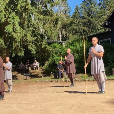 Five Ancestors Fist Saam Chien performed by Master Lyndon Oudsten