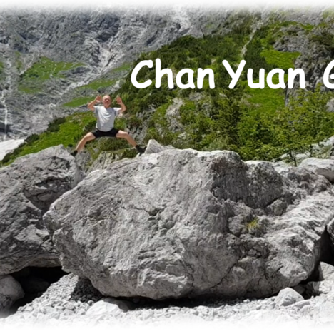 Free Chan Yuan Gong