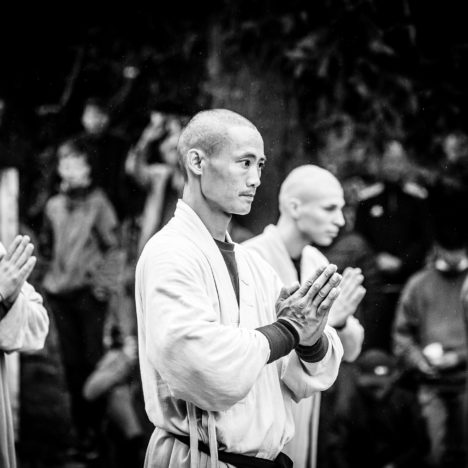 Free Qi Gong beim Kampfkunst-Retreat in Österreich