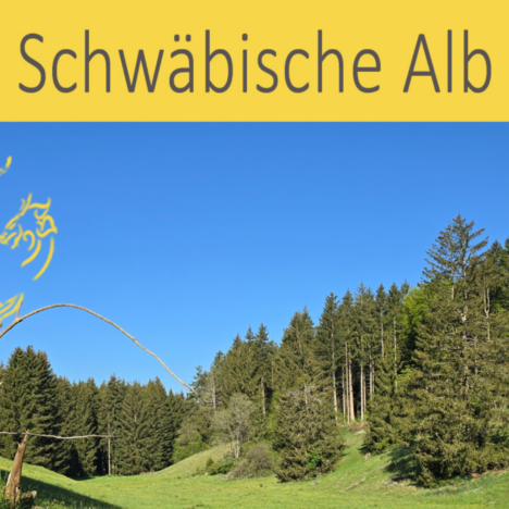 Taiji Wu Stil Herbstseminar absolviert